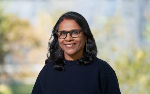 Beena Ramaswami