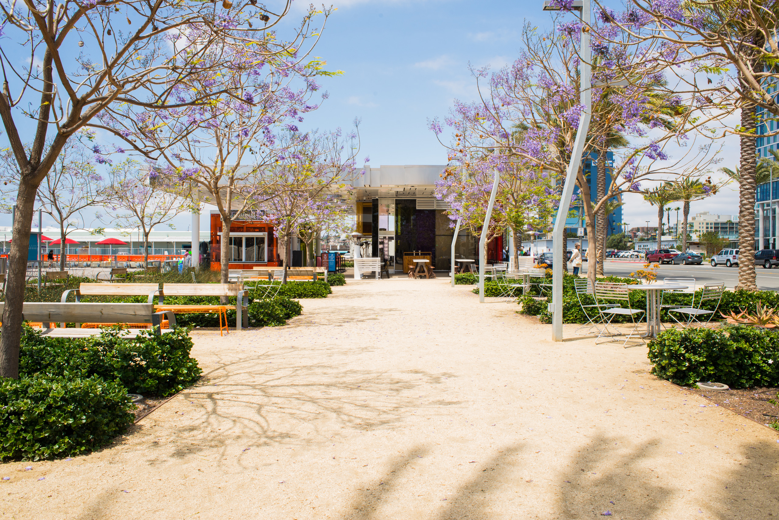 Carnitas' Snack Shack
