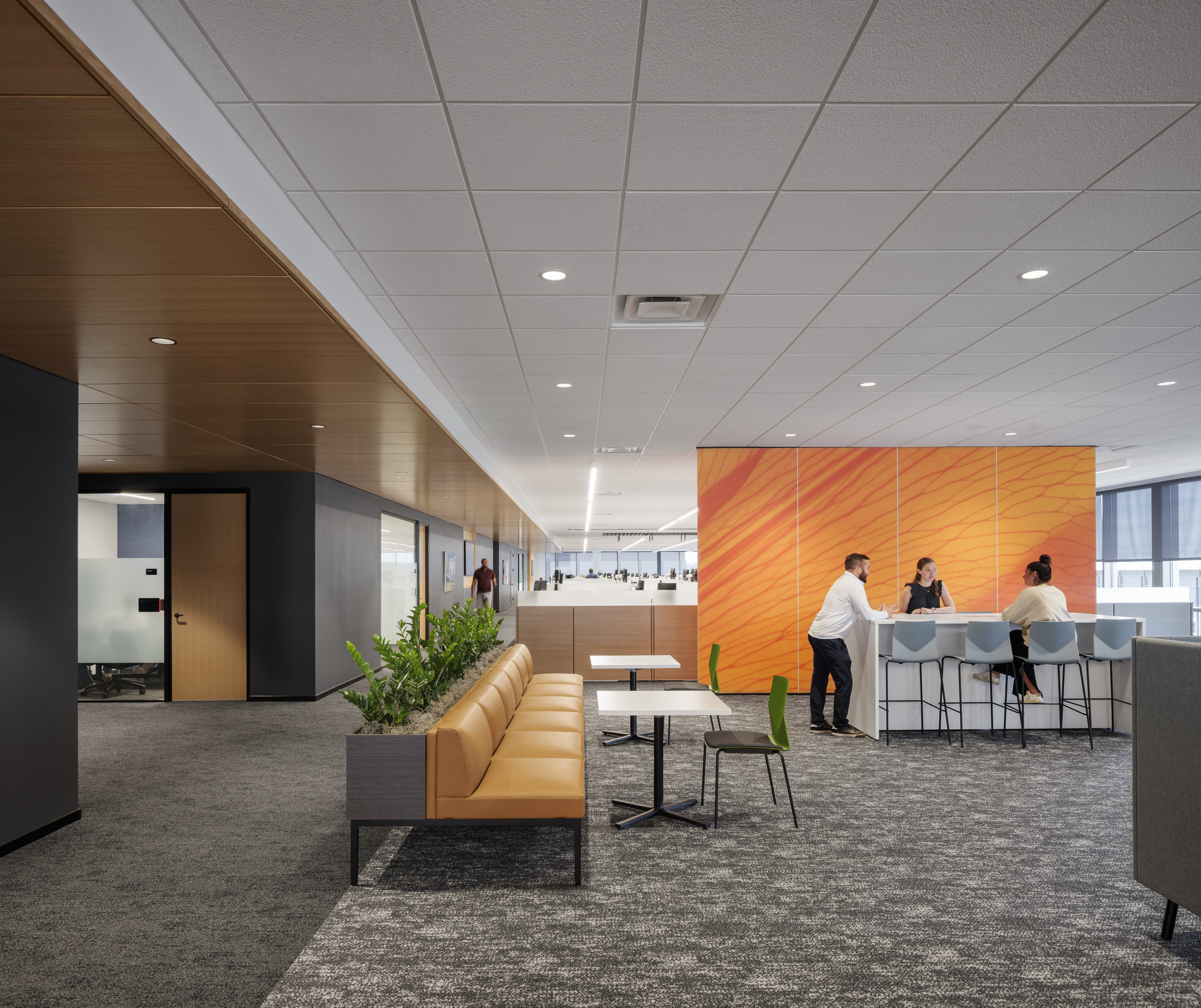 American Equity Headquarters Renovation